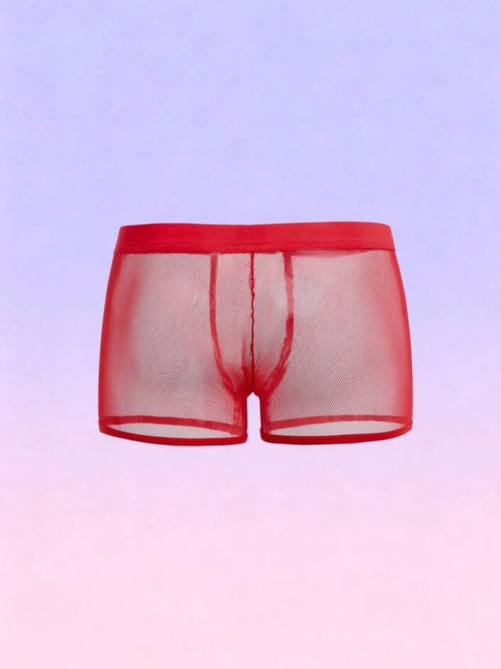 FANDY Men's Mesh Sheer Solid Color Briefs Underwear